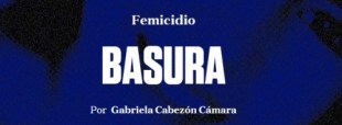 http://www.revistaanfibia.com/ensayo/basura/#search